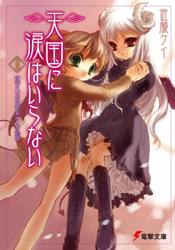天国に涙はいらない 妹兄山腐女子庭訓 (10) (電撃文庫 943)