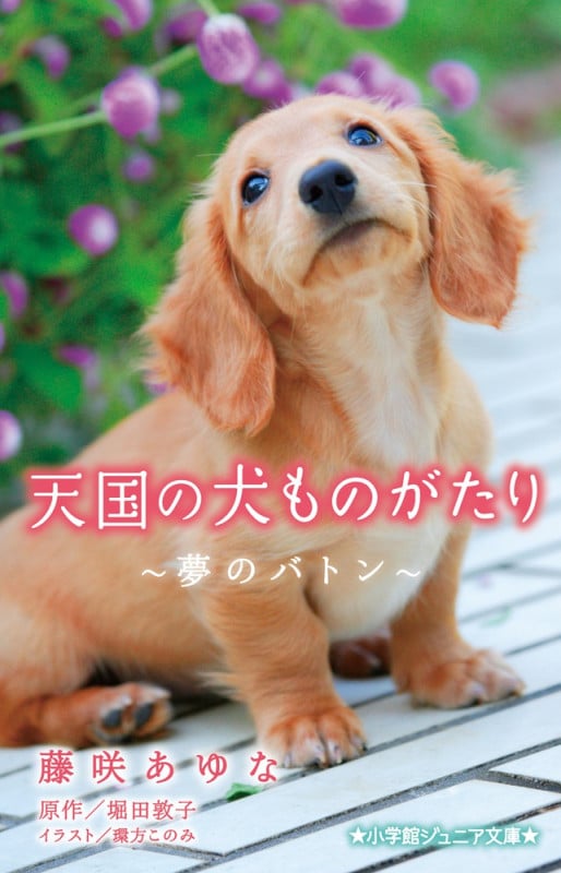 天国の犬ものがたり~夢のバトン~ (小学館ジュニア文庫)