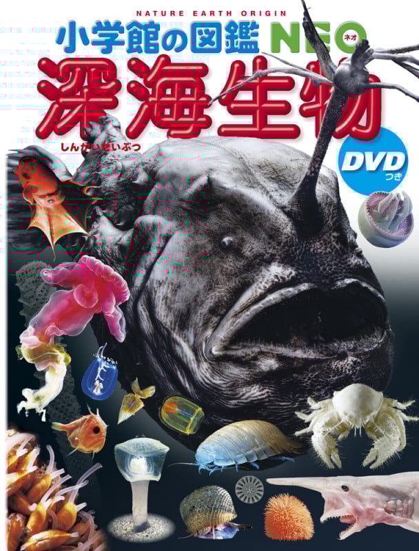 深海生物 DVDつき (小学館の図鑑NEO)