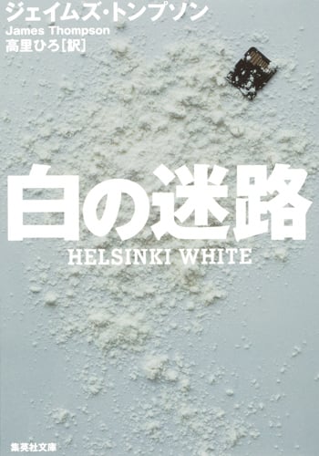 白の迷路 (集英社文庫)