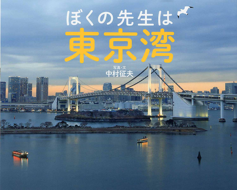 ぼくの先生は東京湾 (ふしぎびっくり写真えほん)