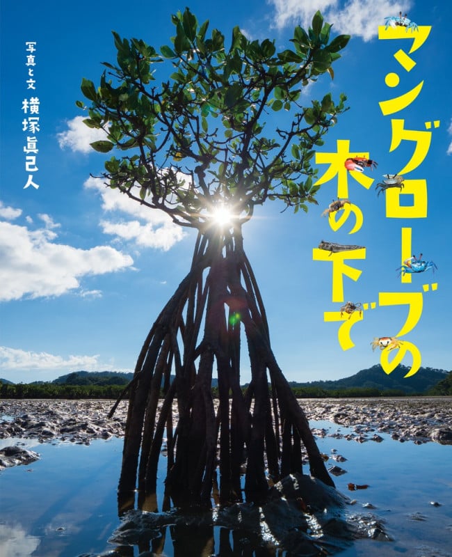 マングローブの木の下で (ぴっかぴかえほん)