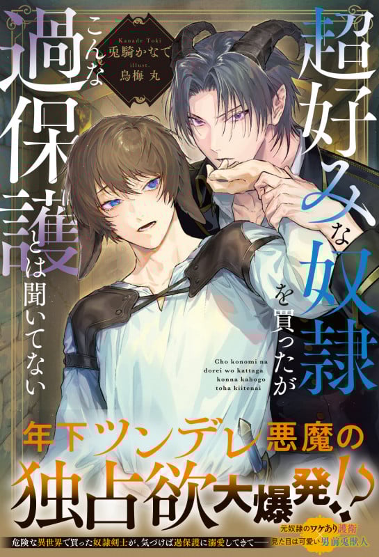 超好みな奴隷を買ったがこんな過保護とは聞いてない (アンダルシュノベルズ)の詳細を見る