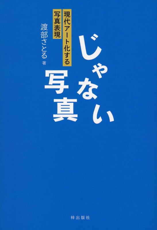 じゃない写真 現代アート化する写真表現