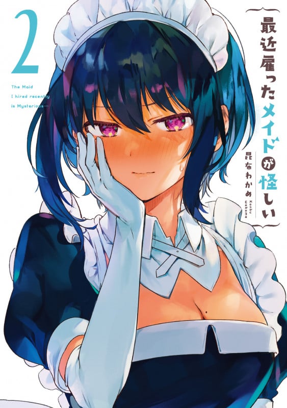 最近雇ったメイドが怪しい(2) (GCJ)