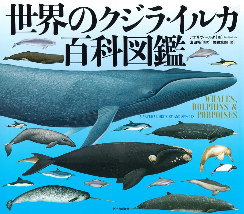 海棲哺乳類大全 彼らの体と生き方に迫る | 山田格のあらすじ・感想