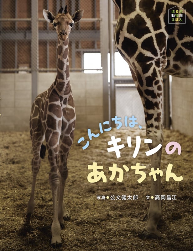 こんにちは、キリンのあかちゃん (ほるぷ動物園えほん)