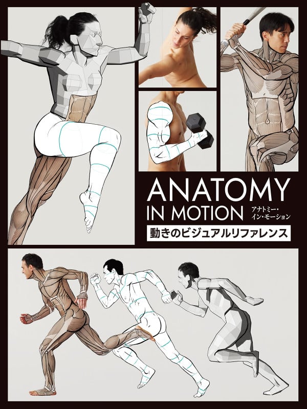 アナトミー・イン・モーション:動きのビジュアルリファレンス