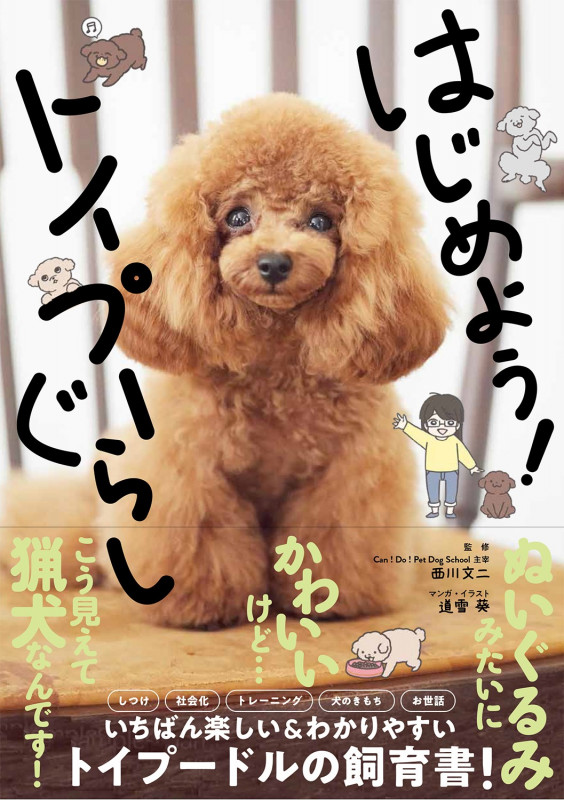 はじめよう!トイプーぐらし