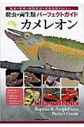 爬虫・両生類パーフェクトガイド カメレオン