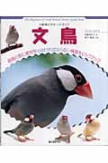文鳥 (小動物ビギナーズガイド)