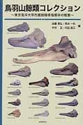 鳥羽山鯨類コレクション 東京海洋大学所蔵鯨類骨格標本の概要
