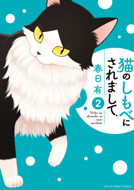 猫のしもべにされまして (2) (裏少年サンデーC)