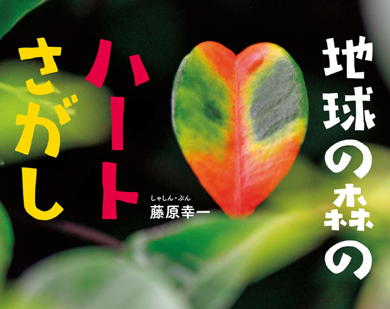 地球の森のハートさがし (ふしぎいっぱい写真絵本 32)