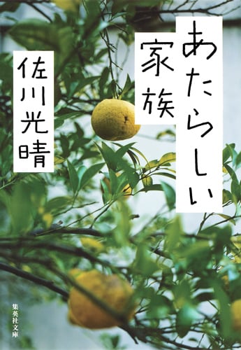 あたらしい家族 (集英社文庫)