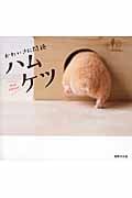 かわいさに悶絶 ハムケツ