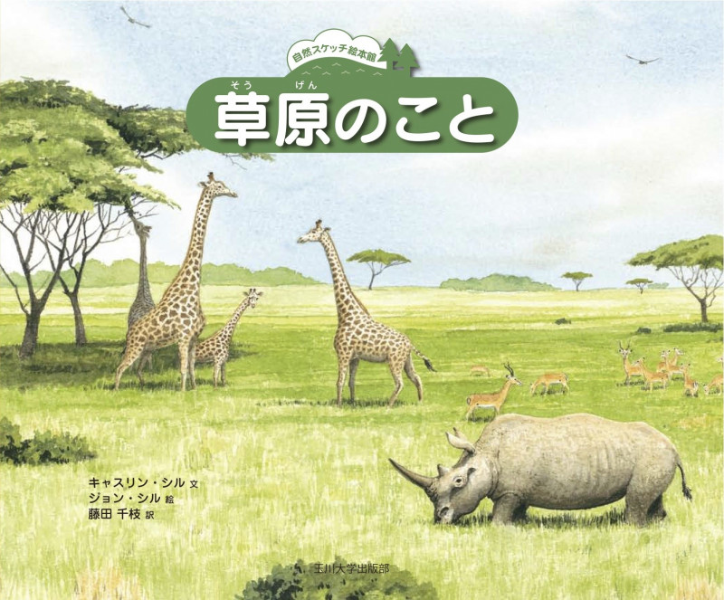 草原のこと (自然スケッチ絵本館)