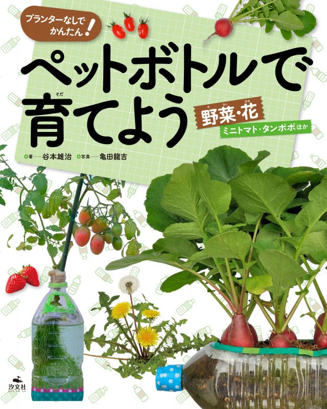 プランターなしでかんたん! ペットボトルで育てよう 野菜・花 ミニトマト・タンポポほか (虫かご・水そう・プランターなしでかんたん! ペットボトルで育てよう)