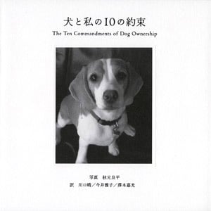 犬と私の10の約束