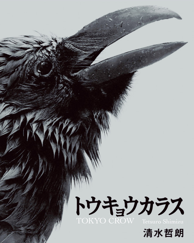 写真集 トウキョウカラス