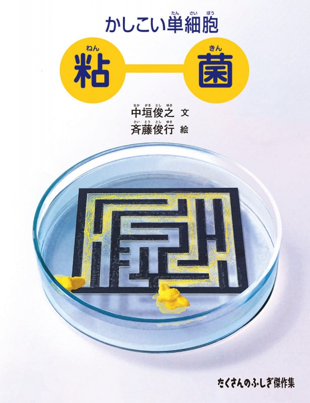 かしこい単細胞 粘菌 (たくさんのふしぎ傑作集)