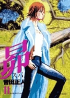 昴 (11) (ビッグC)