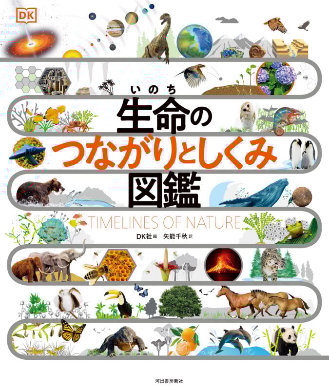 生命のつながりとしくみ図鑑