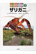 はじめての飼育 ザリガニ (1)