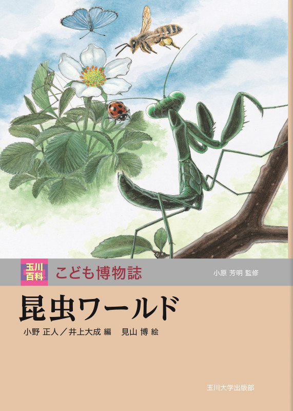昆虫ワールド (玉川百科 こども博物誌)