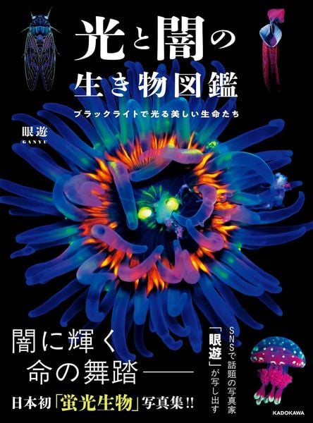光と闇の生き物図鑑 ブラックライトで光る美しい生命たち