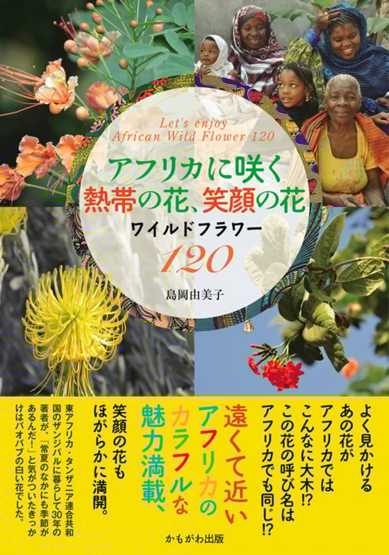 アフリカに咲く熱帯の花、笑顔の花 ワイルドフラワー120
