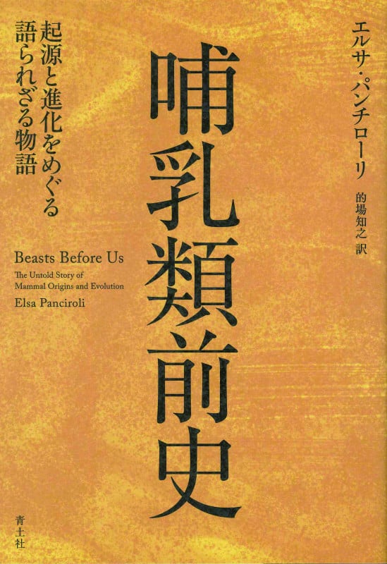 哺乳類前史 起源と進化をめぐる語られざる物語