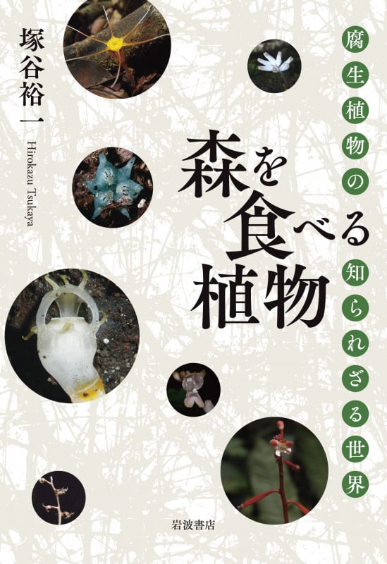 森を食べる植物 腐生植物の知られざる世界