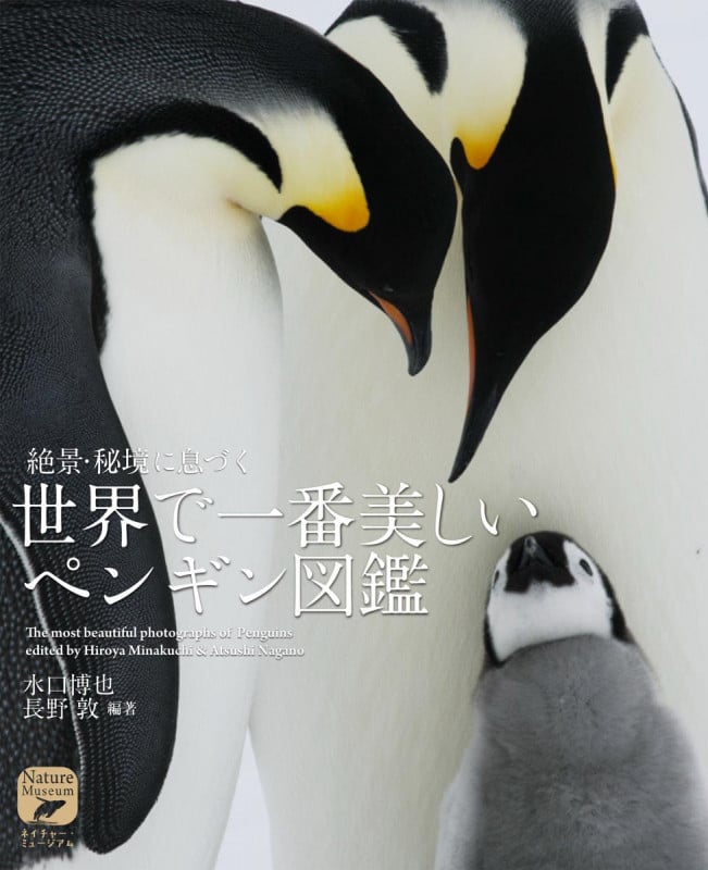 世界で一番美しいペンギン図鑑 絶景・秘境に息づく (ネイチャー・ミュージアム)