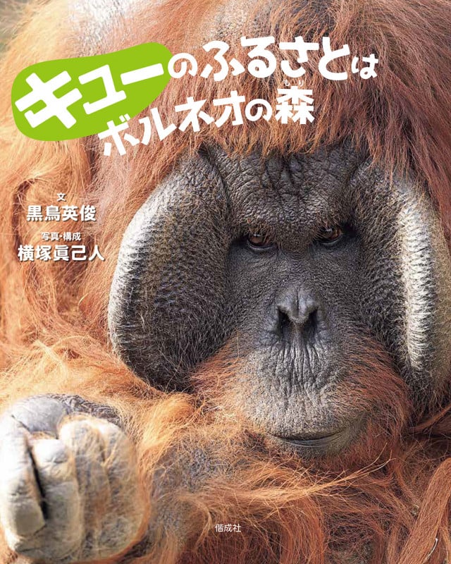 キューのふるさとはボルネオの森