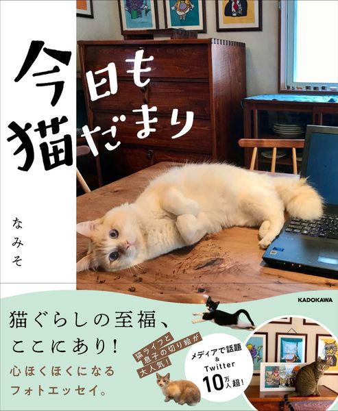 今日も猫だまりの詳細を見る