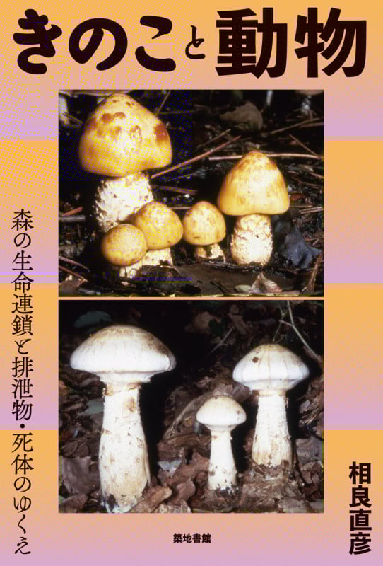 きのこと動物 森の生命連鎖と排泄物・死体のゆくえ