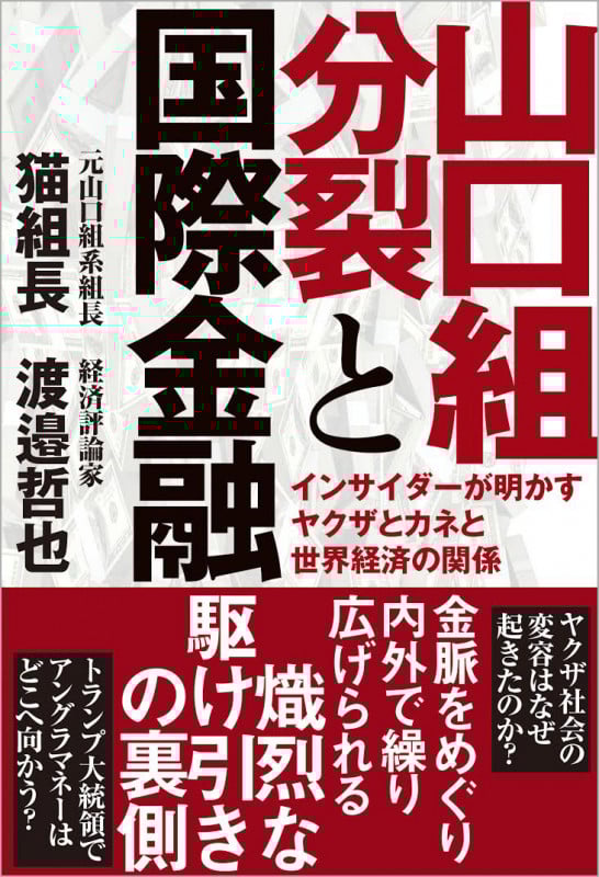山口組分裂と国際金融 インサイダーが明かすヤクザとカネと世界経済の関係