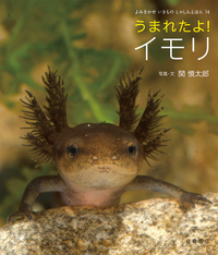うまれたよ! イモリ