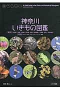 神奈川 いきもの図鑑