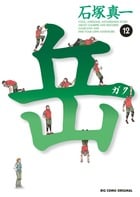 岳 (12) (ビッグ コミックス)