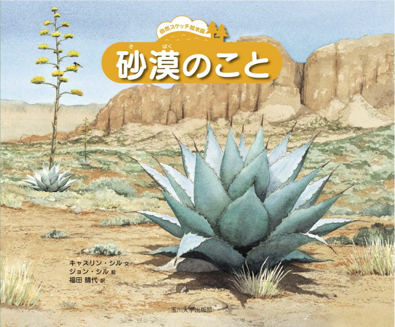 砂漠のこと (自然スケッチ絵本館)