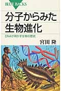 分子からみた生物進化 DNAが明かす生物の歴史 (ブルーバックス)