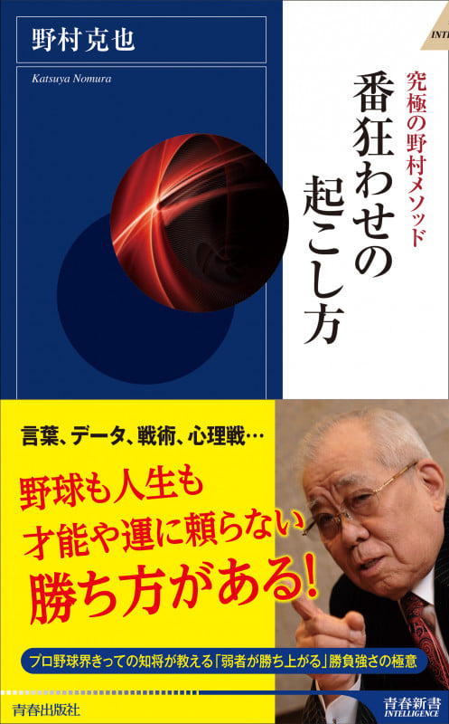 番狂わせの起こし方 (青春新書インテリジェンス)の詳細を見る