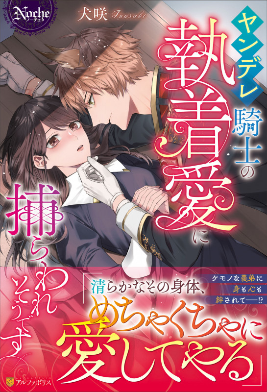 ヤンデレ騎士の執着愛に捕らわれそうです (ノーチェ)
