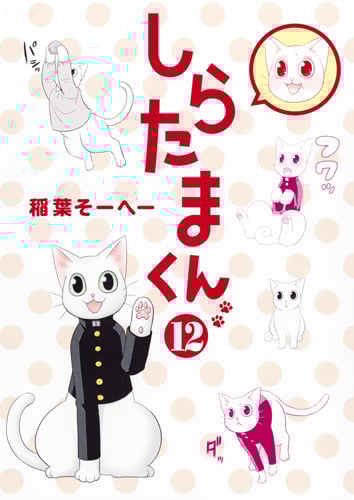 しらたまくん (12) (ヤングジャンプC)