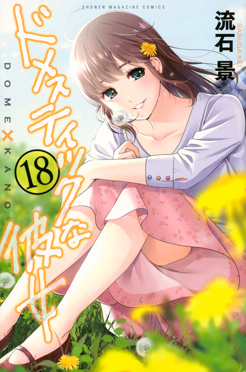 ドメスティックな彼女 (18) (マガジンKC)