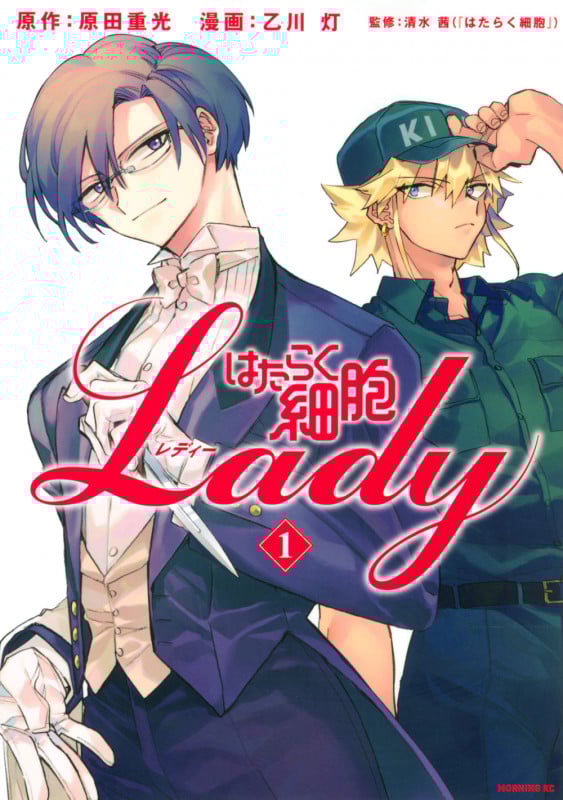 はたらく細胞LADY(1) (モーニング KC)