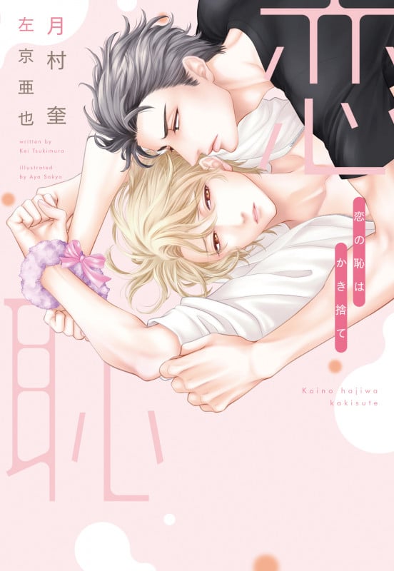 恋の恥はかき捨て (ディアプラス文庫)の詳細を見る