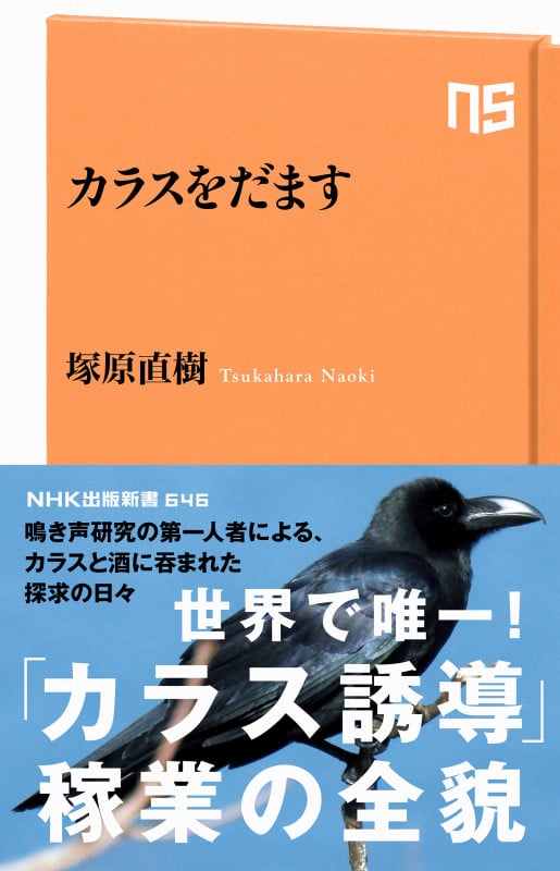 カラスをだます (NHK出版新書 646 646)の詳細を見る